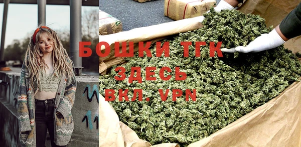 гашик Осинники