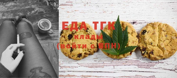 мдпв Осташков