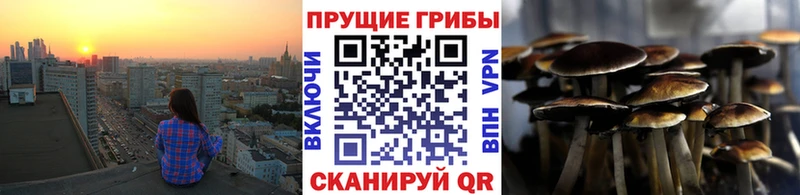 Псилоцибиновые грибы MAGIC MUSHROOMS  купить  цена  Подпорожье 